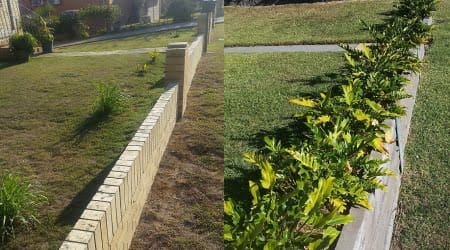 How to garden